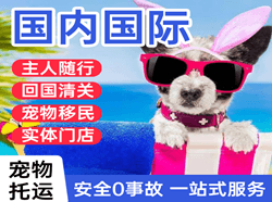 贵阳空运代理国际宠物托运 【国